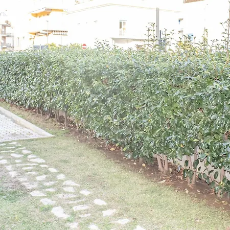 La Pioggia Nel Pineto *